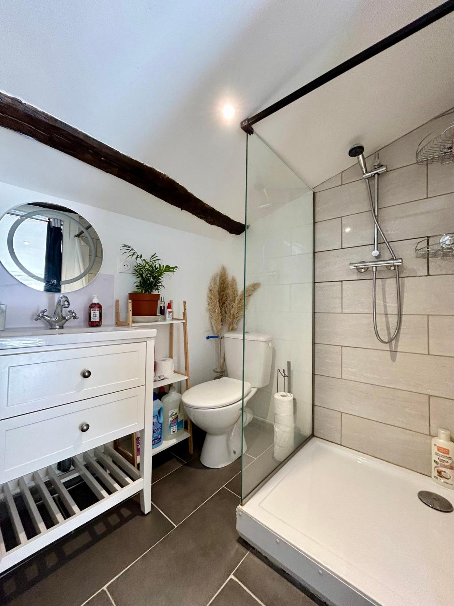 Loft Hortensia Hyper Centre Castres Castres  Exterior photo