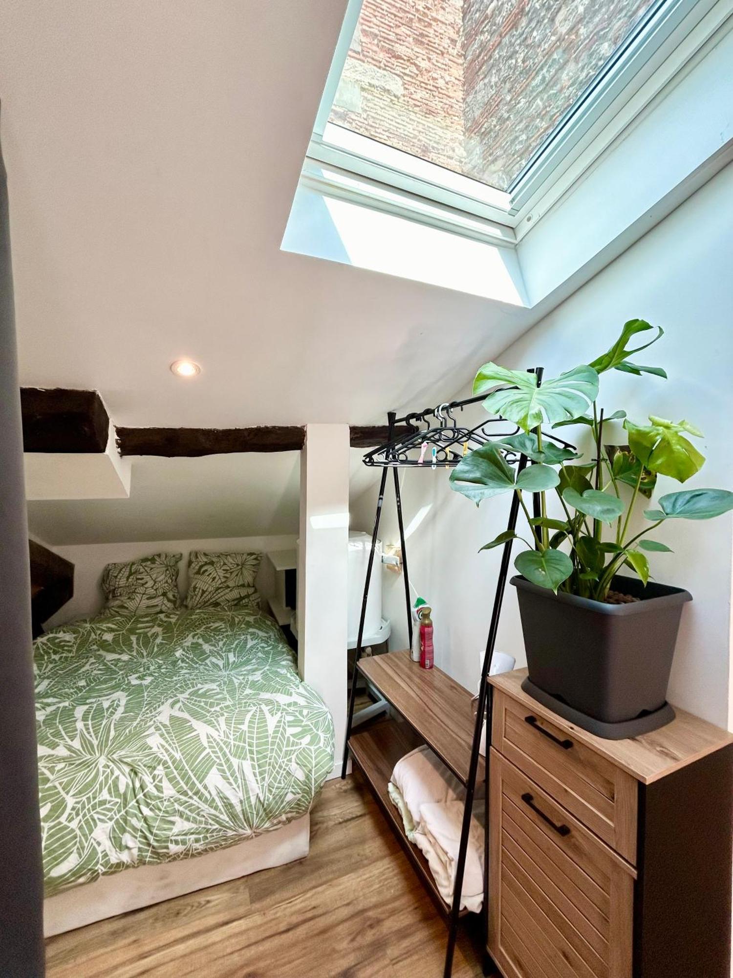 Loft Hortensia Hyper Centre Castres Castres  Exterior photo